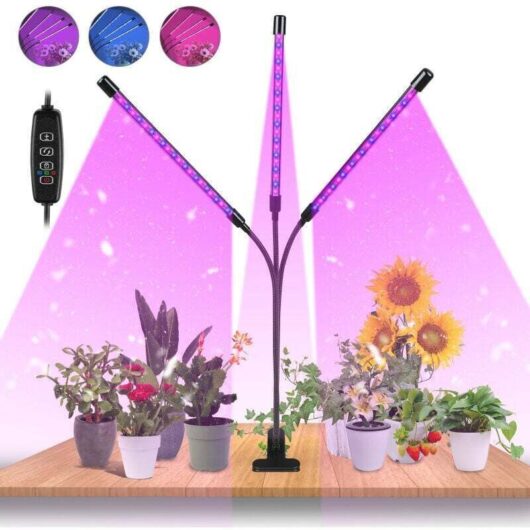ALOVZE 30W Tasmor grow light, indoor lamp with 60 360° LEDs, with timer