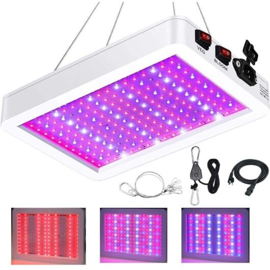 BW1000 Full Spectrum LED Plant Grow Light with UV/IR Light, Dual LED Chip with Cable for Greenhouse and Indoor Plants, Vegetables and Flowers [Energy