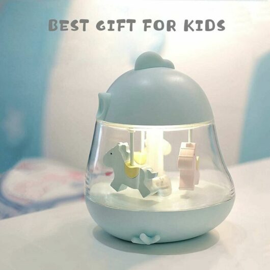 Carousel Music Box Night Light for Kids, Cute Baby Toddler Nursery Bedroom Decor Lamp, usb Rechargeable & Dimmable & Portable & Timer, Christmas
