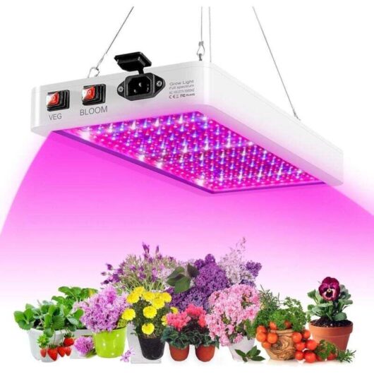Full Spectrum Grow Light, 1000W LED Grow Light Panel with 216 LEDs, UV and IR Plant Lamp, Horticultural Grow Lights for Greenhouses and Indoor