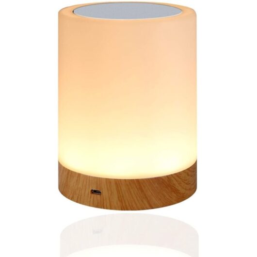 LED Night Light, Children's Bedside Night Light with Touch Control, USB Rechargeable, and Dimmable RGB Colour Changing Table Lamp for Bedroom and