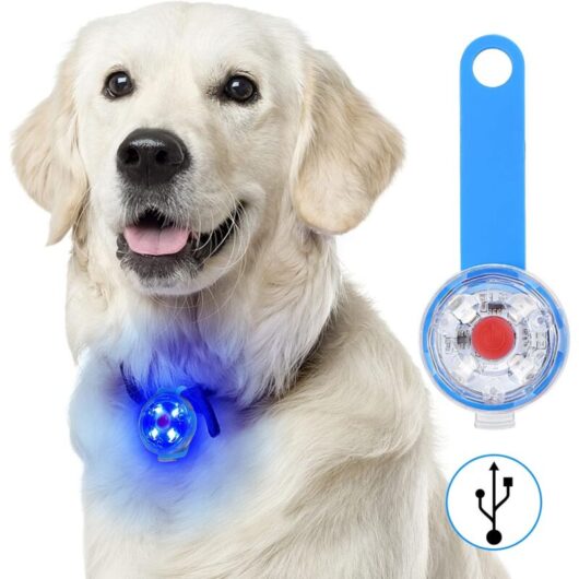 Serbia - Bleu 1PC Sécurité led Clignotant pour Chiens , Chats - Lampe led Rechargeable usb pour Chien, 3 Modes de Clignotant Lampes de Sécurité
