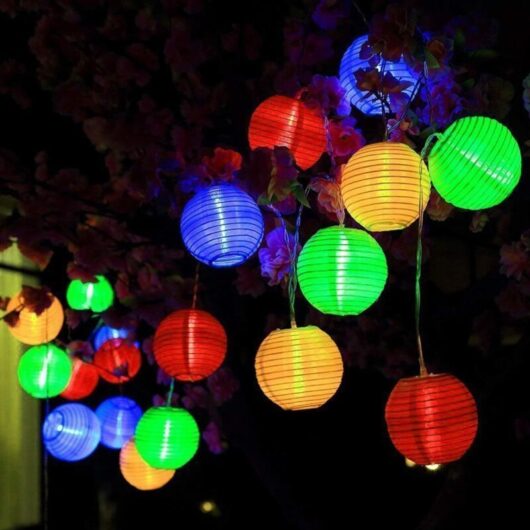 Solar LED Lantern Lamp, ALED LIGHT 20 LED IP65 Waterproof LED String Lights Solar Lantern Indoor and Outdoor for Garden Party Christmas (Red, Green,