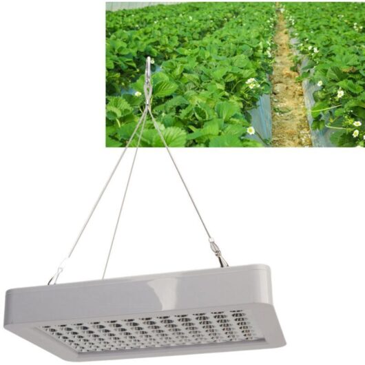 VEG BLOOM 192 LED Full Spectrum Grow Light for Indoor Plants, Dual Switch Grow Light for Plants